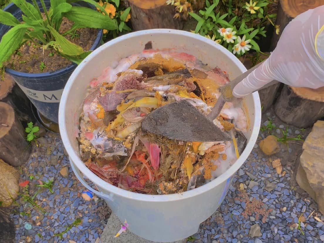 Thùng ủ rác Eco Bokashi lên mốc trắng