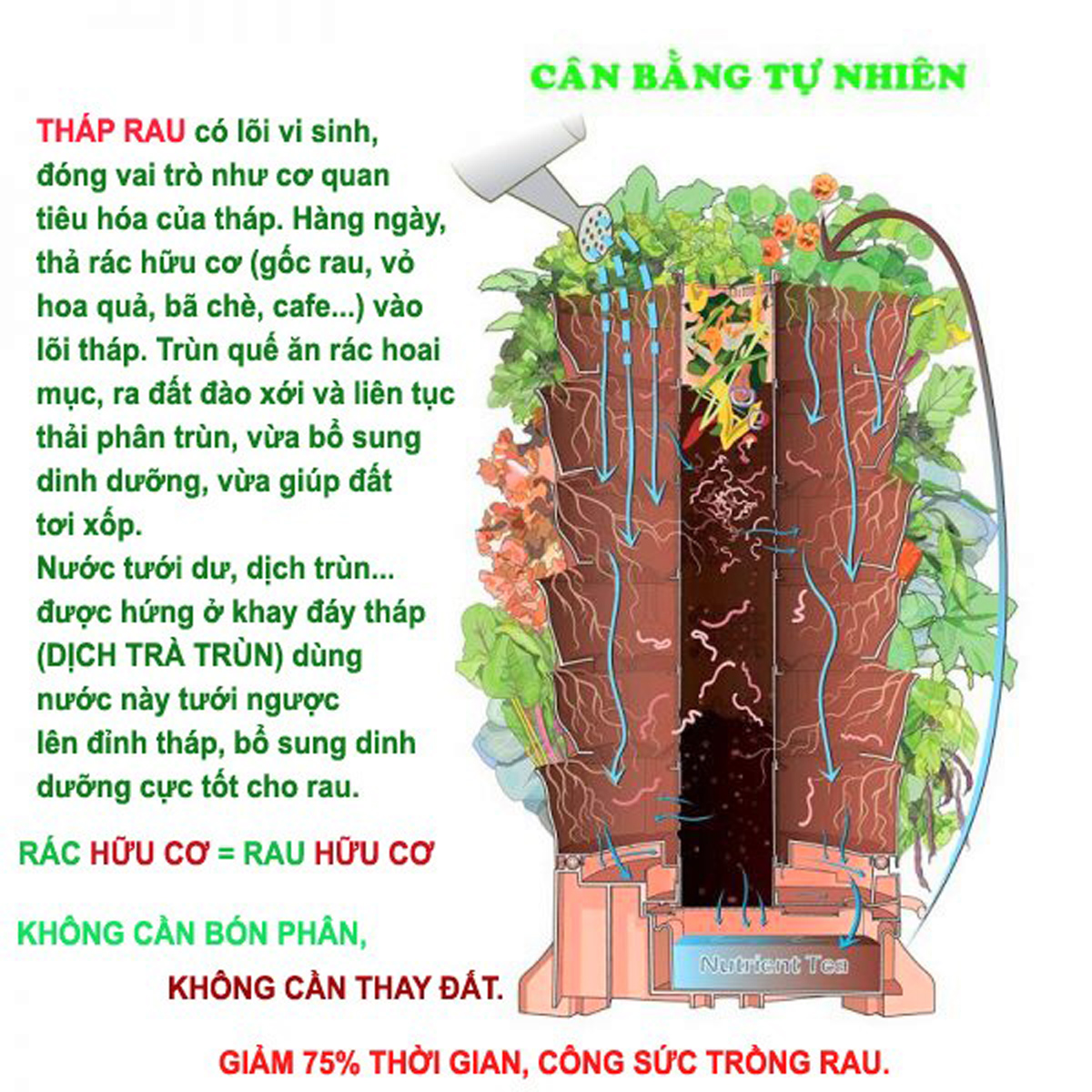 Tháp rau hữu cơ Eco